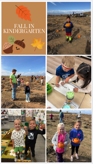 Collage of kindergarten fall activities: pumpkin patch visit, classroom work, and kids holding pumpkins.